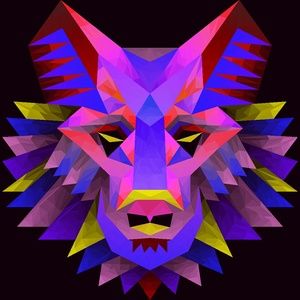 Meet your Posher, Trevor